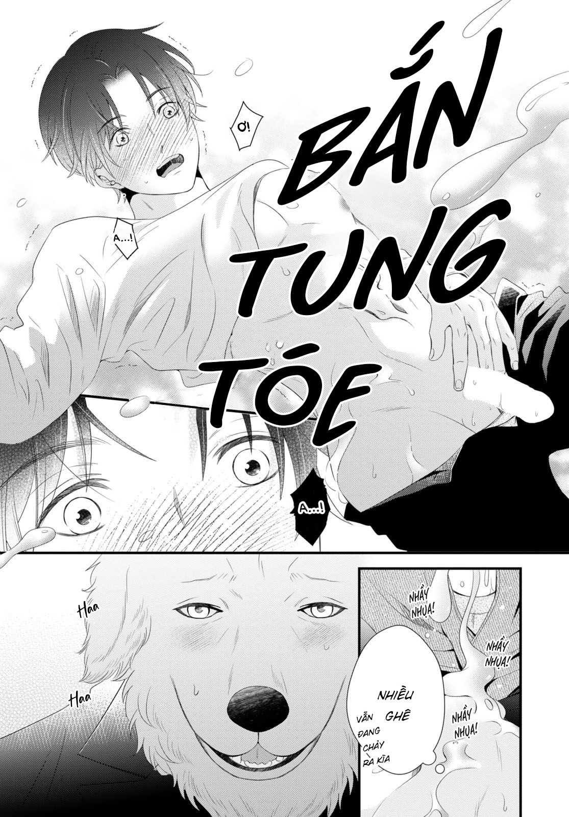 Cuộc Hôn Nhân Lý Tưởng: Tôi Được Mai Mối Với Một Chú Chó Chapter 6 - Trang 2