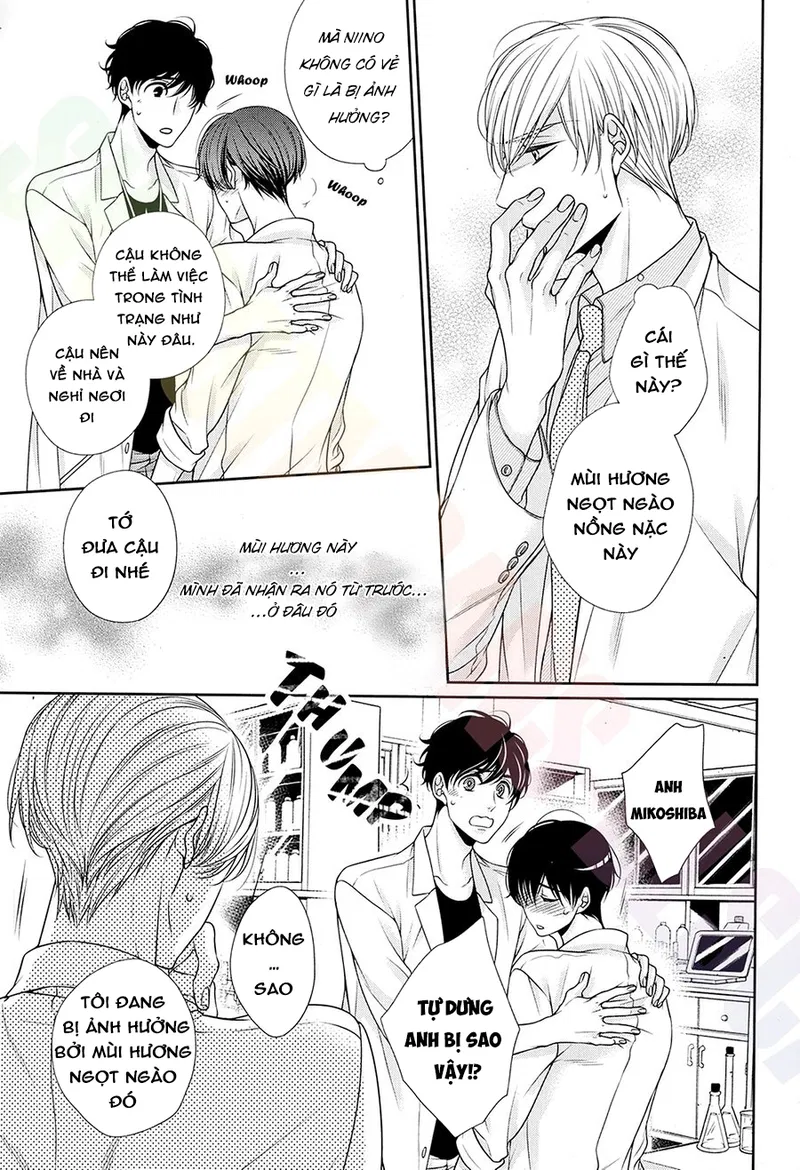 Oneshot tà răm nhà An Chapter 22 - Trang 2