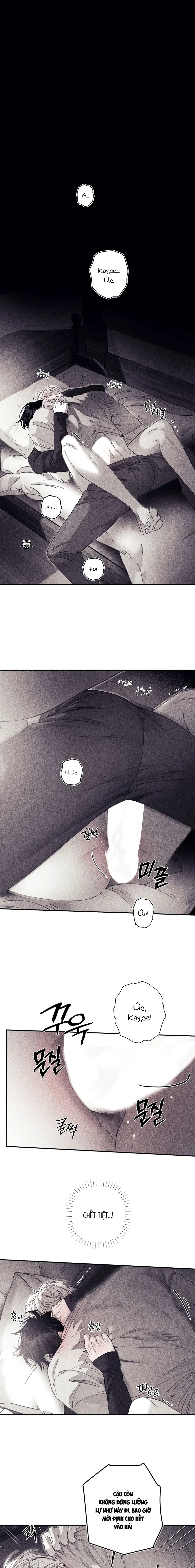 BÍ MẬT CỦA KAYCE Chapter 24: H+ - Trang 2