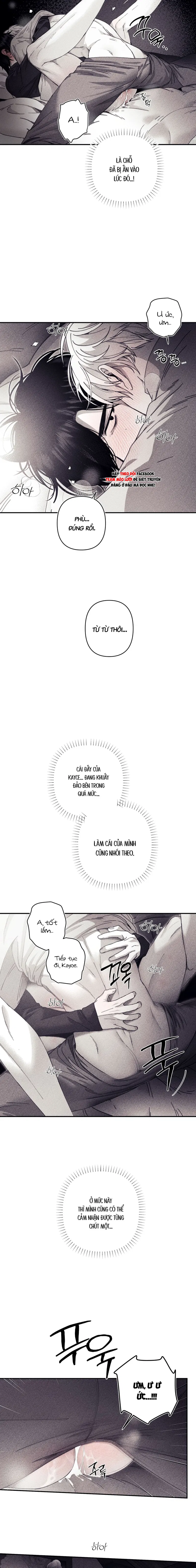 BÍ MẬT CỦA KAYCE Chapter 24: H+ - Trang 2