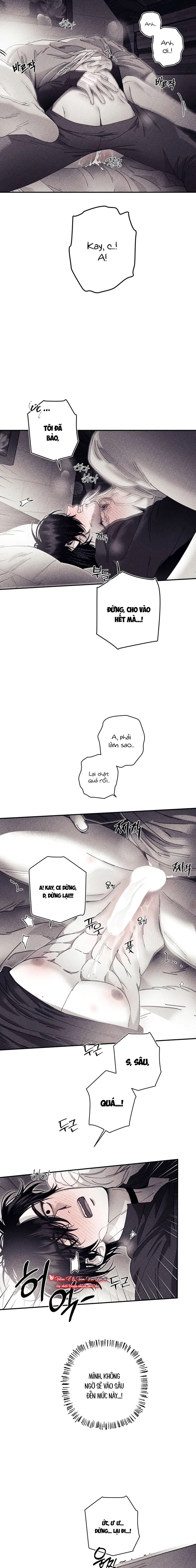 BÍ MẬT CỦA KAYCE Chapter 24: H+ - Trang 2