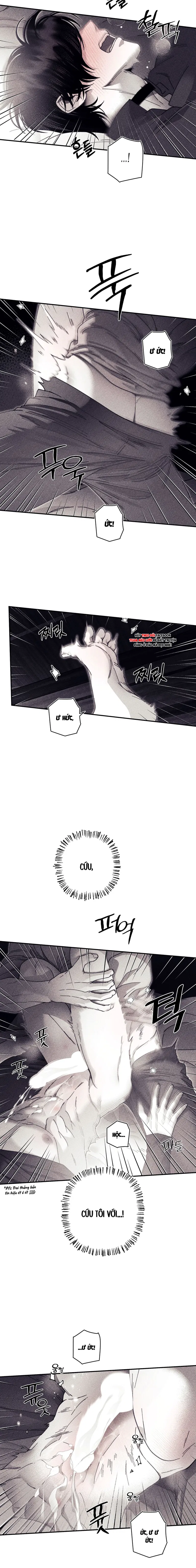 BÍ MẬT CỦA KAYCE Chapter 24: H+ - Trang 2