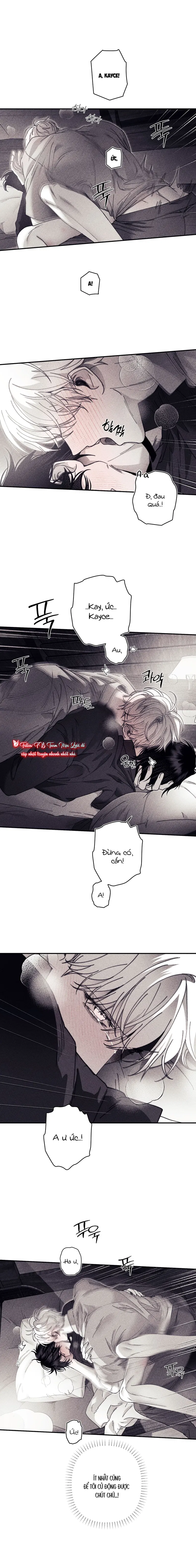 BÍ MẬT CỦA KAYCE Chapter 24: H+ - Trang 2