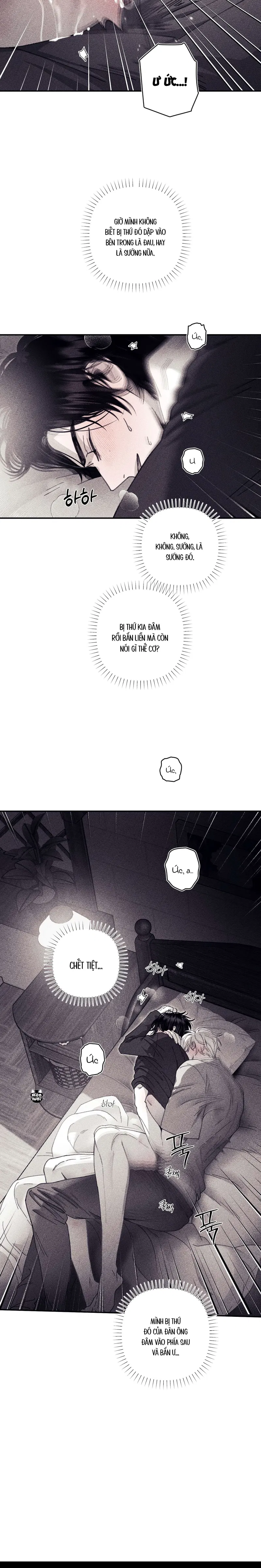 BÍ MẬT CỦA KAYCE Chapter 24: H+ - Trang 2