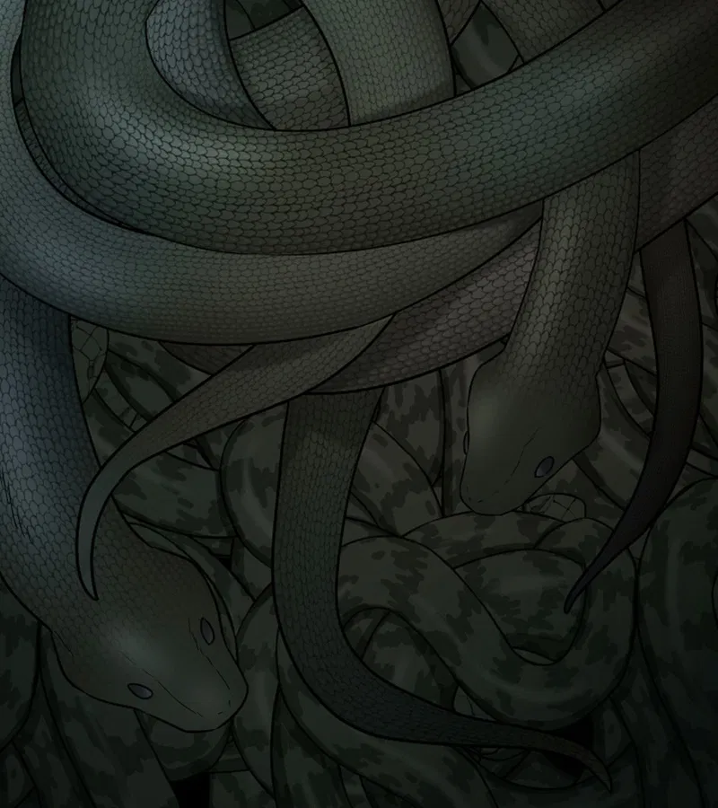 HANG RẮN Chapter 15 - Trang 2