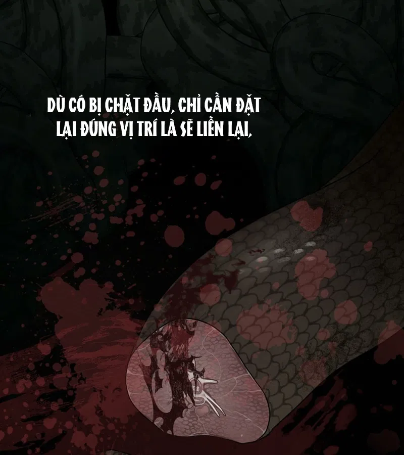 HANG RẮN Chapter 15 - Trang 2