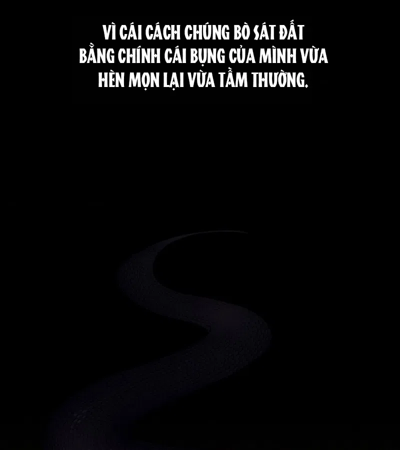 HANG RẮN Chapter 15 - Trang 2