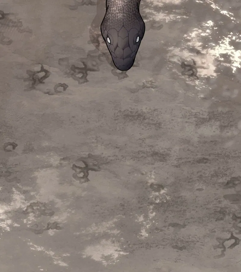 HANG RẮN Chapter 15 - Trang 2