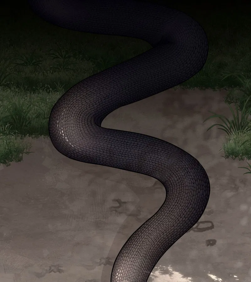 HANG RẮN Chapter 15 - Trang 2