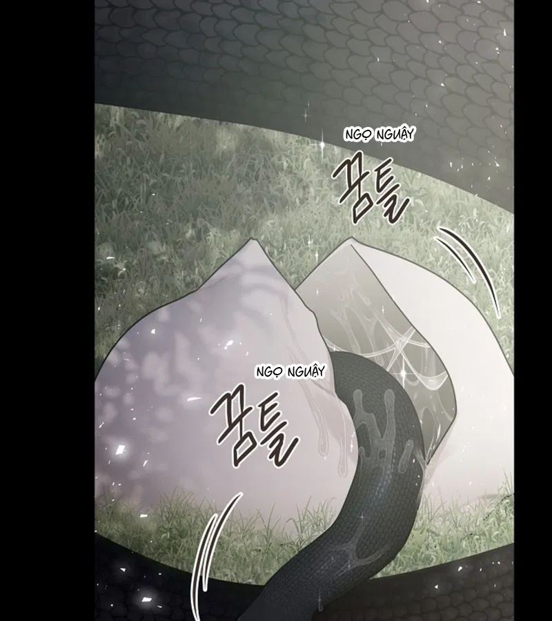 HANG RẮN Chapter 15 - Trang 2