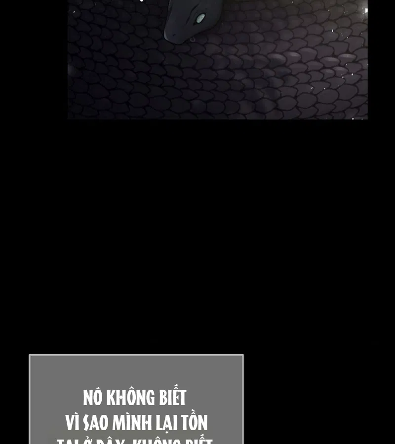 HANG RẮN Chapter 15 - Trang 2