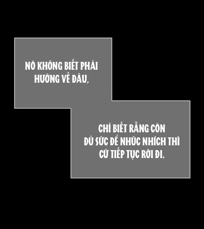 HANG RẮN Chapter 15 - Trang 2