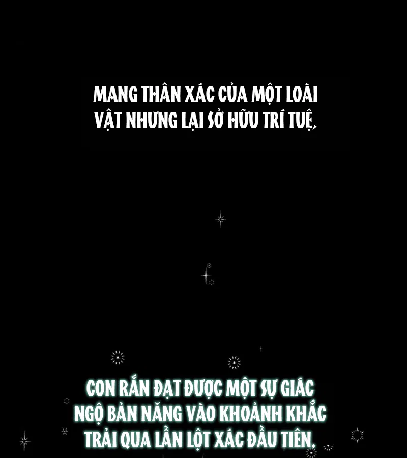 HANG RẮN Chapter 15 - Trang 2