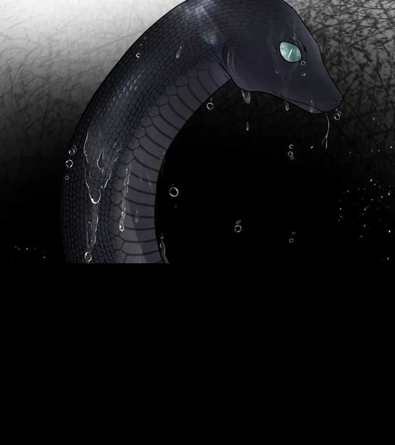 HANG RẮN Chapter 15 - Trang 2