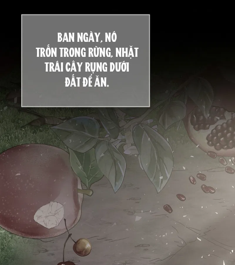 HANG RẮN Chapter 15 - Trang 2