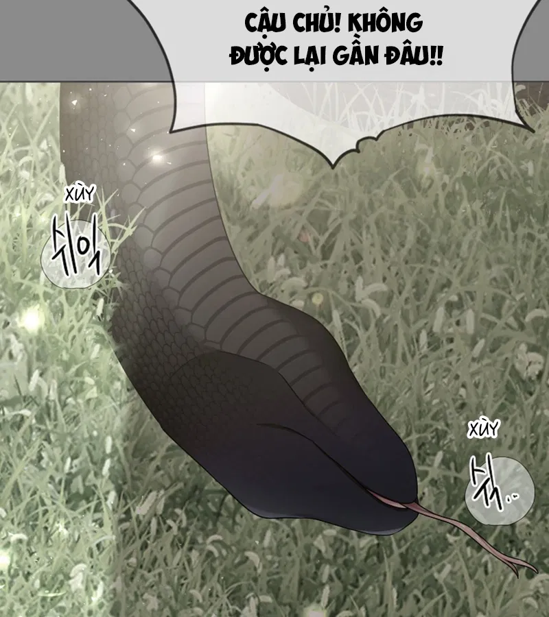 HANG RẮN Chapter 15 - Trang 2