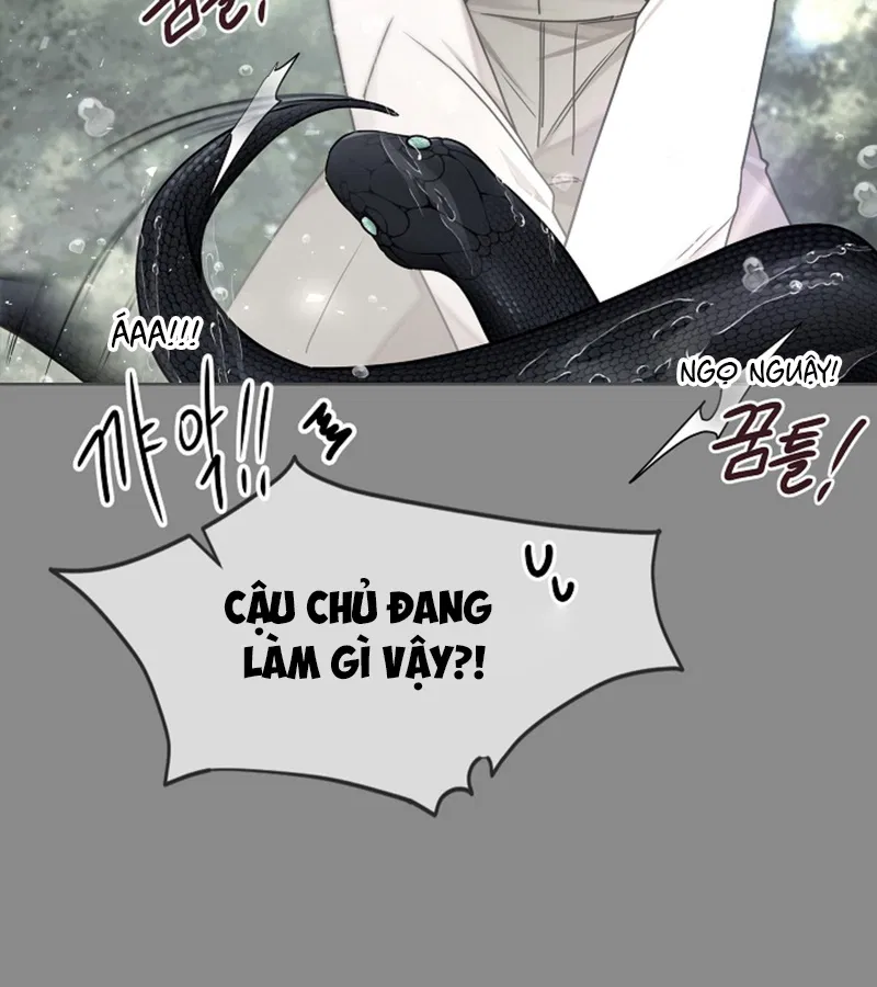HANG RẮN Chapter 15 - Trang 2