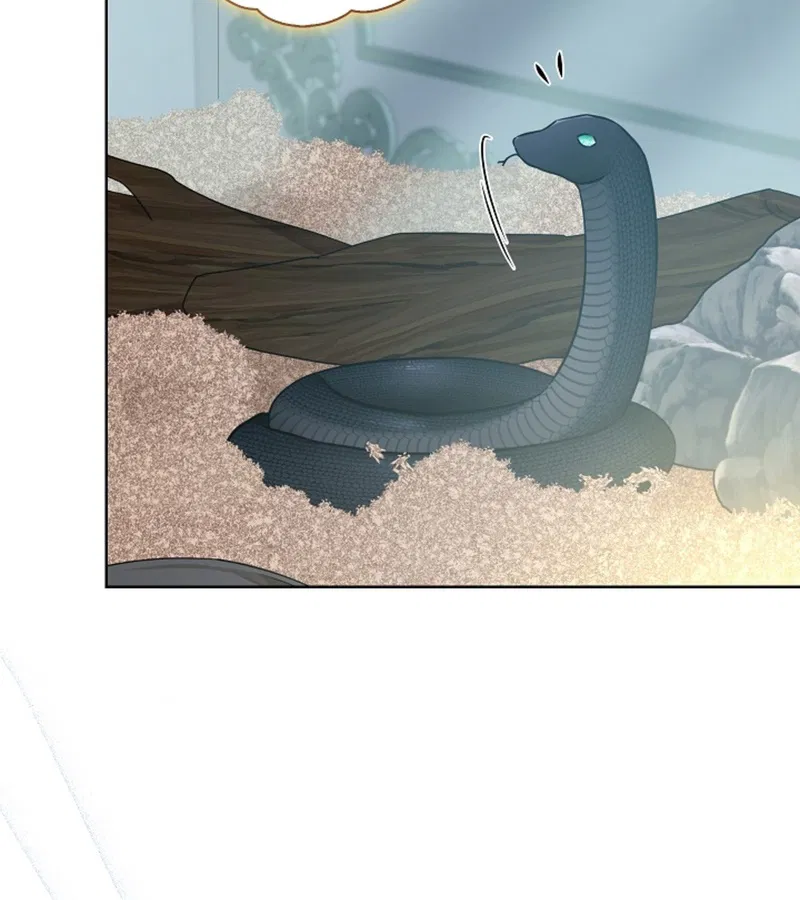 HANG RẮN Chapter 15 - Trang 2