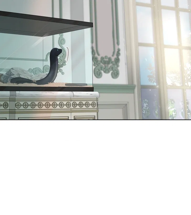 HANG RẮN Chapter 15 - Trang 2