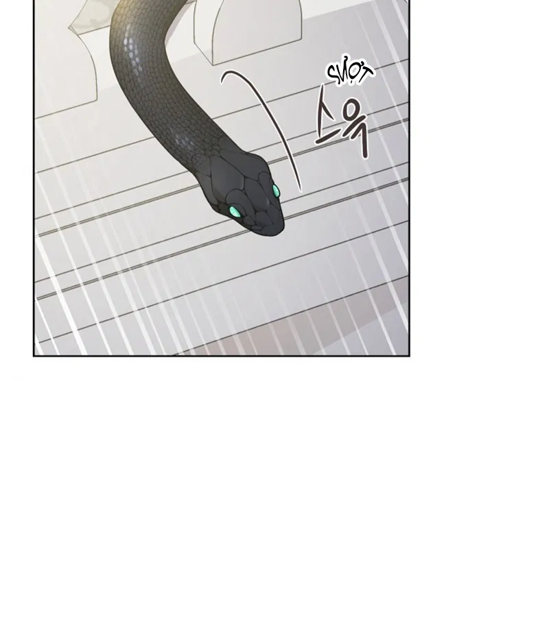 HANG RẮN Chapter 15 - Trang 2