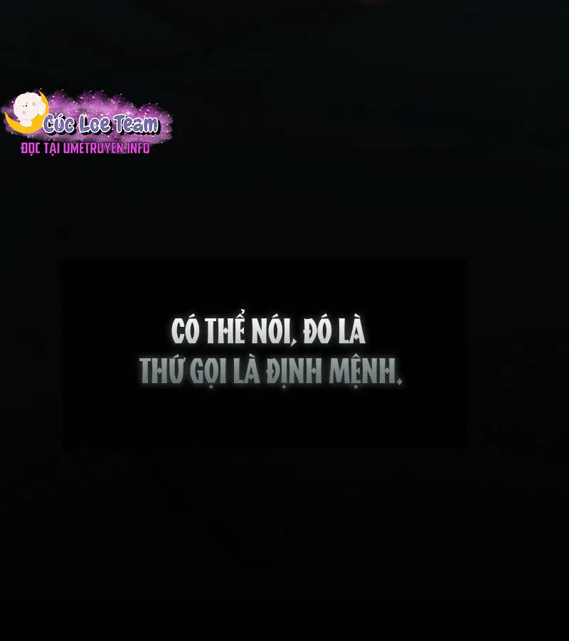 HANG RẮN Chapter 15 - Trang 2