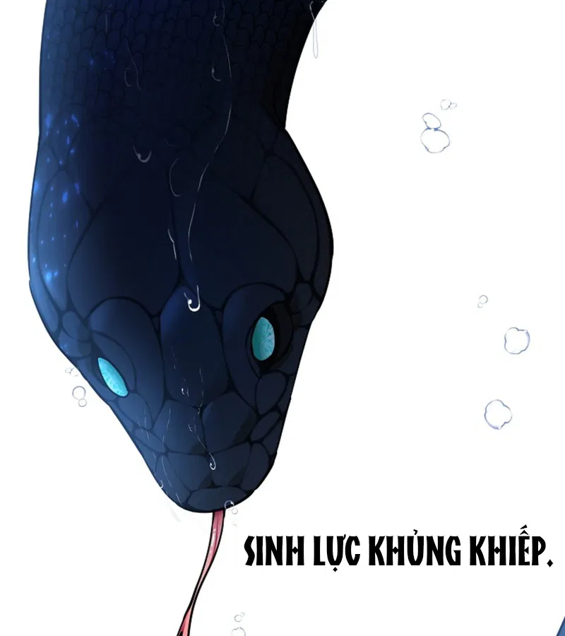 HANG RẮN Chapter 16 - Next 