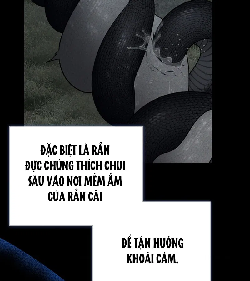 HANG RẮN Chapter 16 - Next 