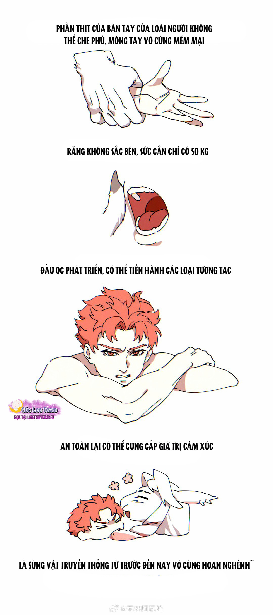 Hướng Dẫn Nhận Nuôi Loài Người Chapter 18 - Trang 2