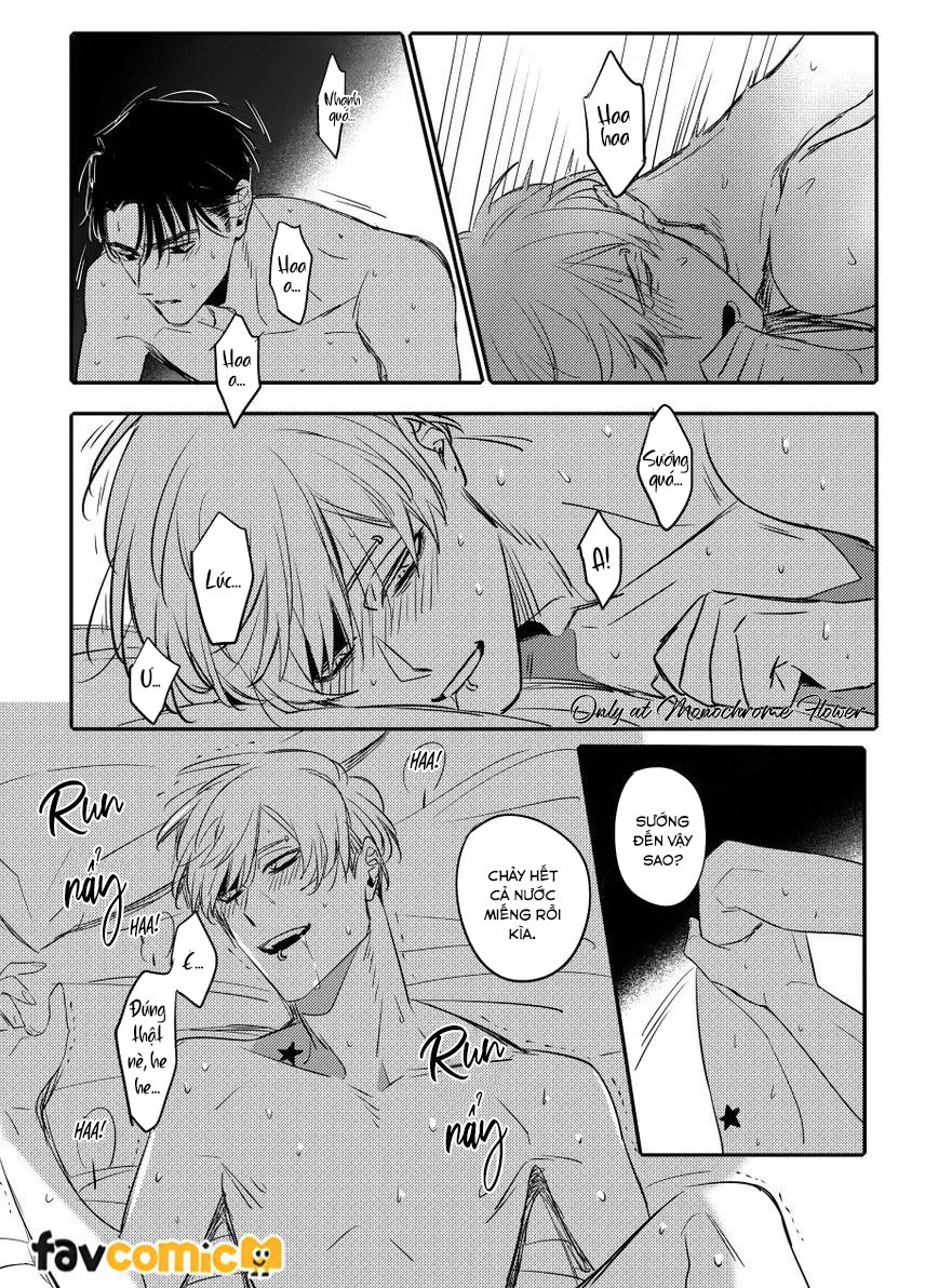 Những vì sao u tối như màn đêm Chapter 1 - Trang 2