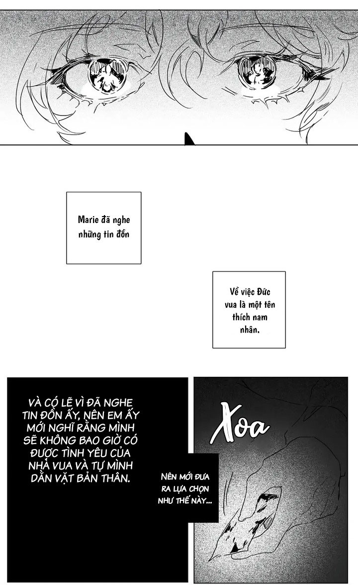 Vũ Khúc Mặt Nạ Chapter 4 - Trang 2