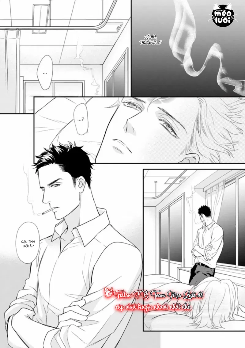 Đánh Dấu Omega Chapter 2: H+ - Trang 2