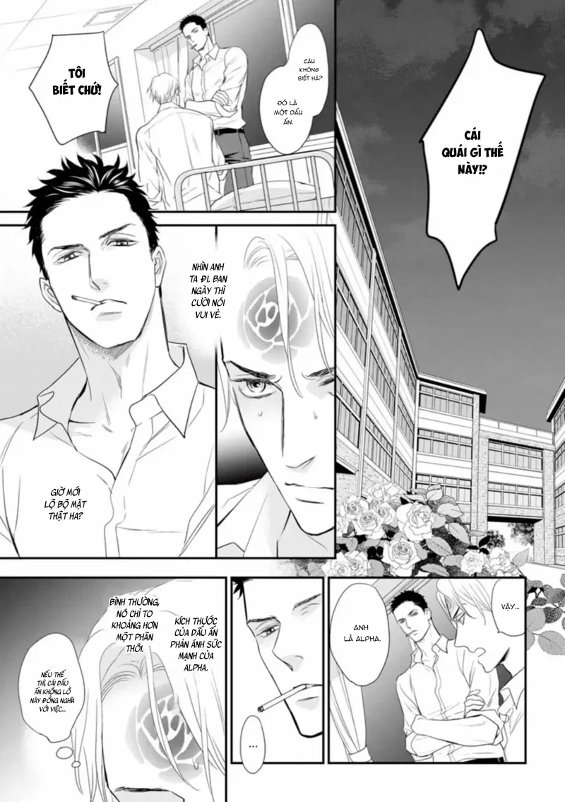 Đánh Dấu Omega Chapter 2: H+ - Trang 2