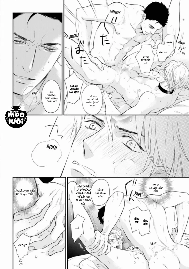 Đánh Dấu Omega Chapter 3: H+ - Trang 2