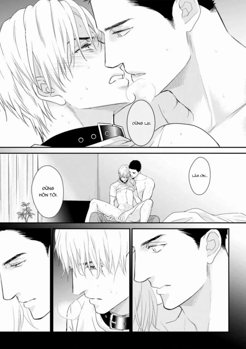 Đánh Dấu Omega Chapter 4: H+ - Next 