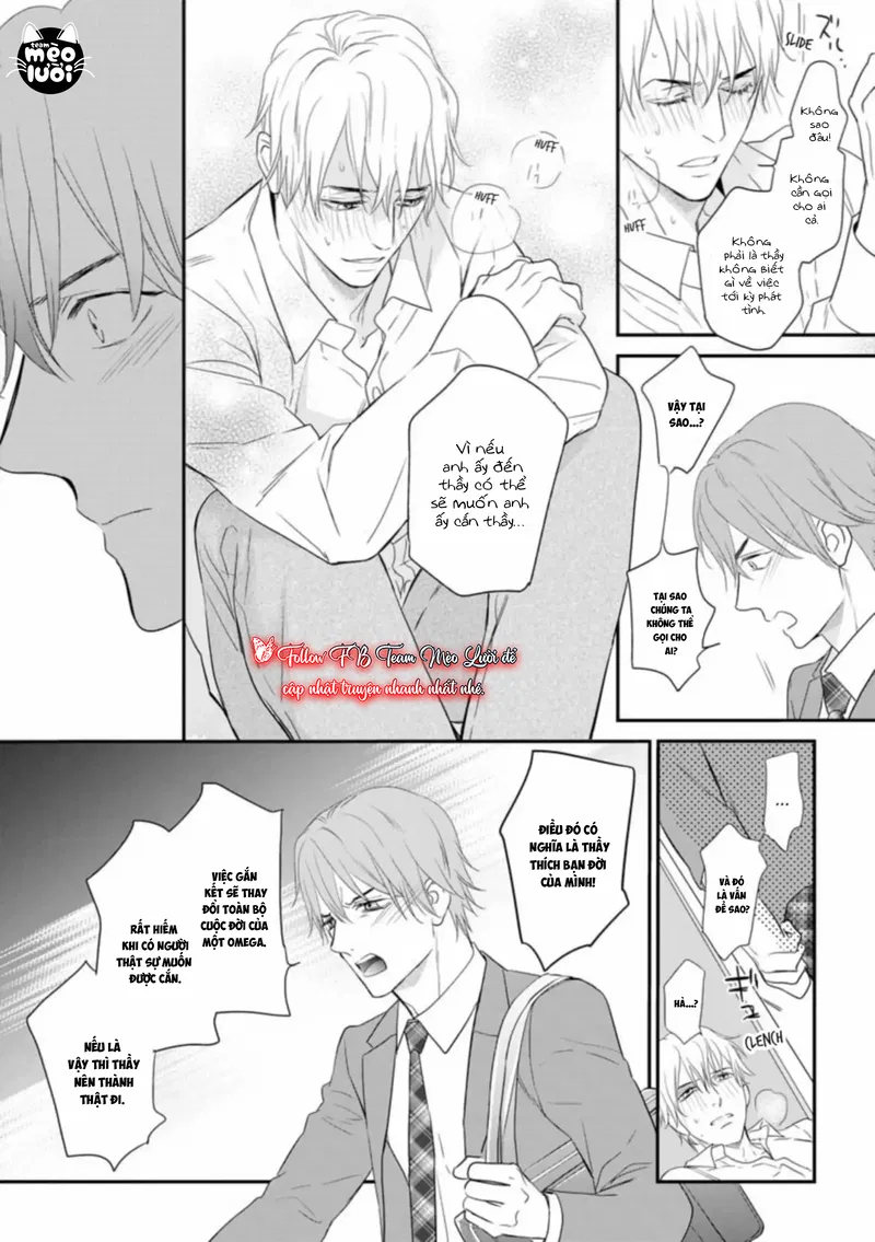 Đánh Dấu Omega Chapter 6 - Trang 2