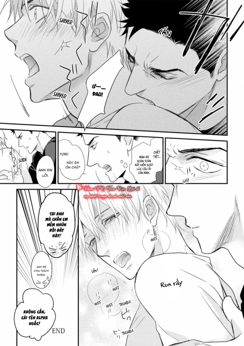 Đánh Dấu Omega Chapter 7.5: Ngoại truyện - Next 