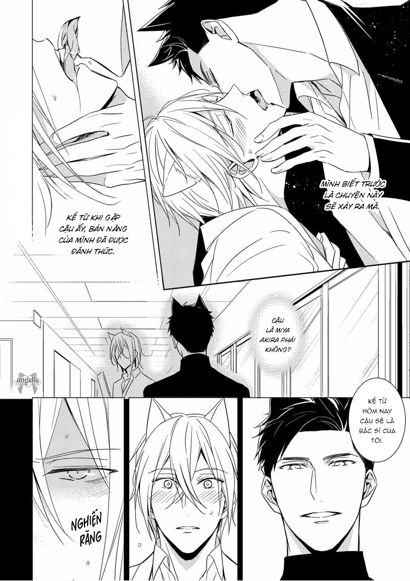 Quái Thú Arashi Chapter 1 - Next 