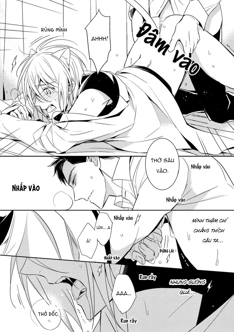 Quái Thú Arashi Chapter 2 - Next Chapter 3