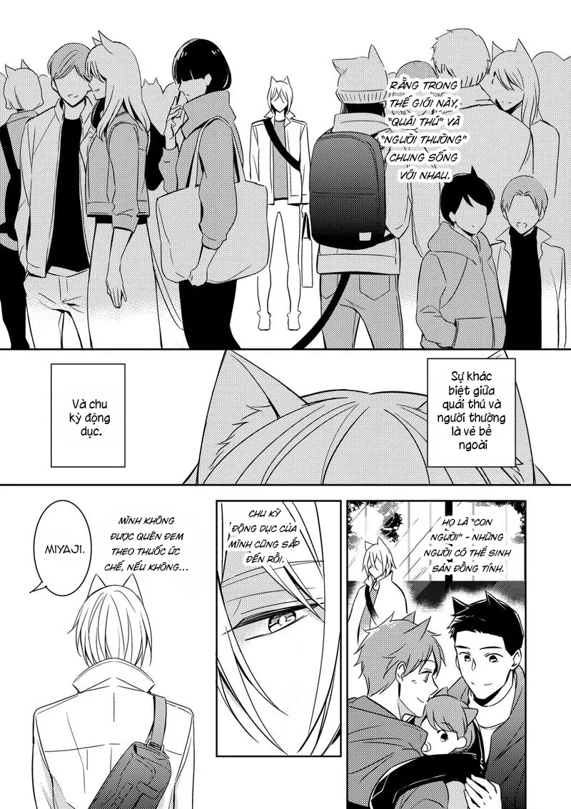 Quái Thú Arashi Chapter 3 - Next 