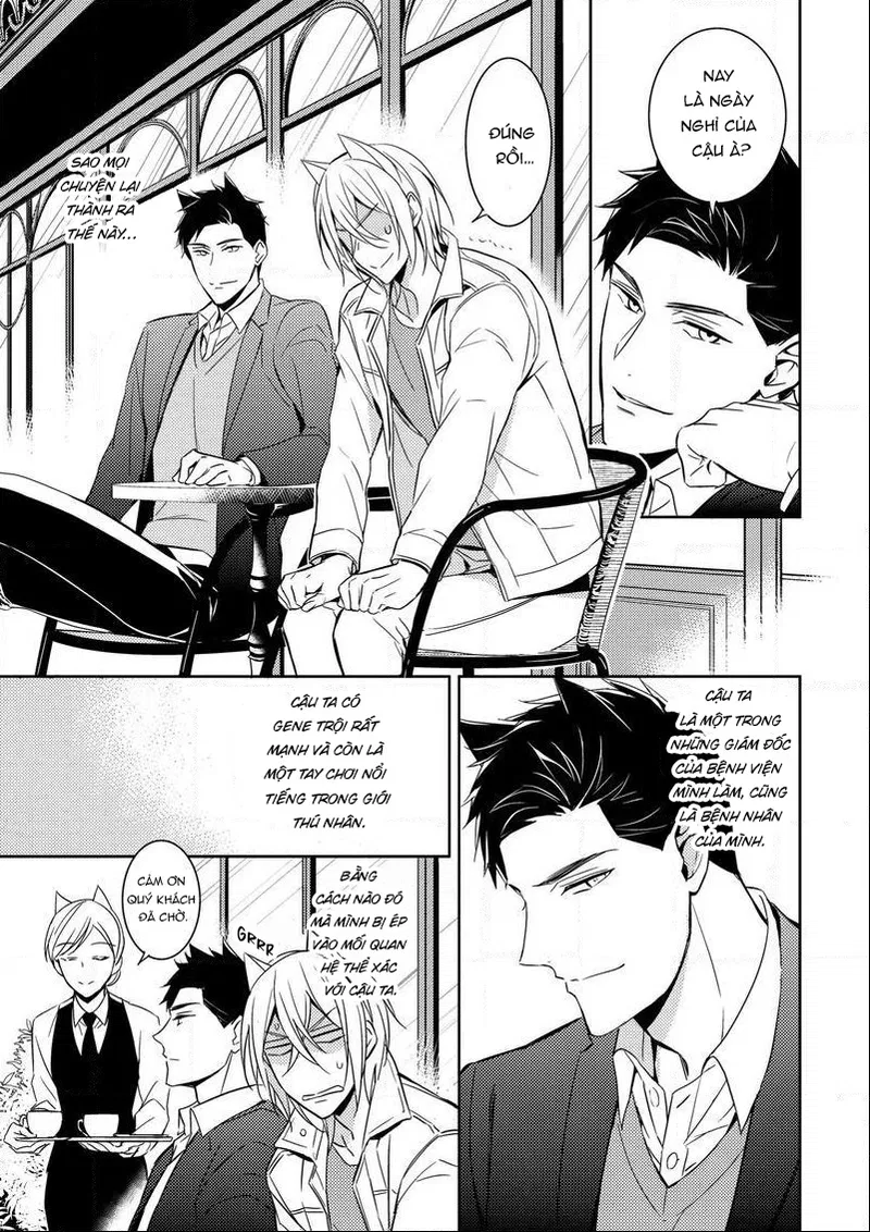 Quái Thú Arashi Chapter 3 - Next 