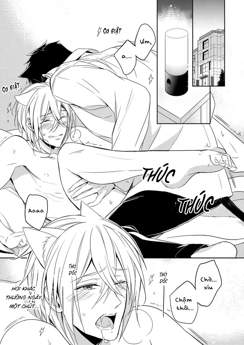 Quái Thú Arashi Chapter 3 - Next 