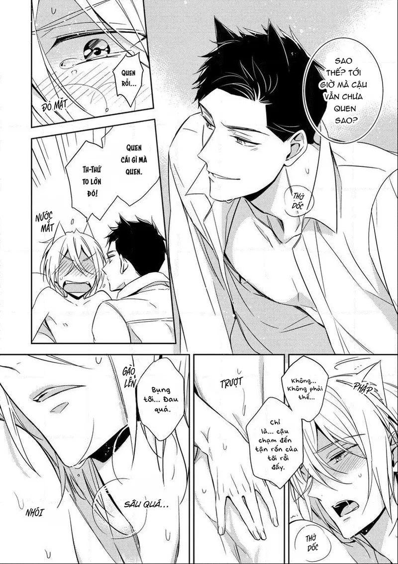 Quái Thú Arashi Chapter 3 - Next 