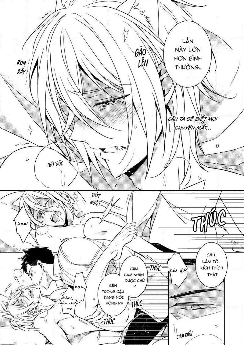 Quái Thú Arashi Chapter 3 - Next 