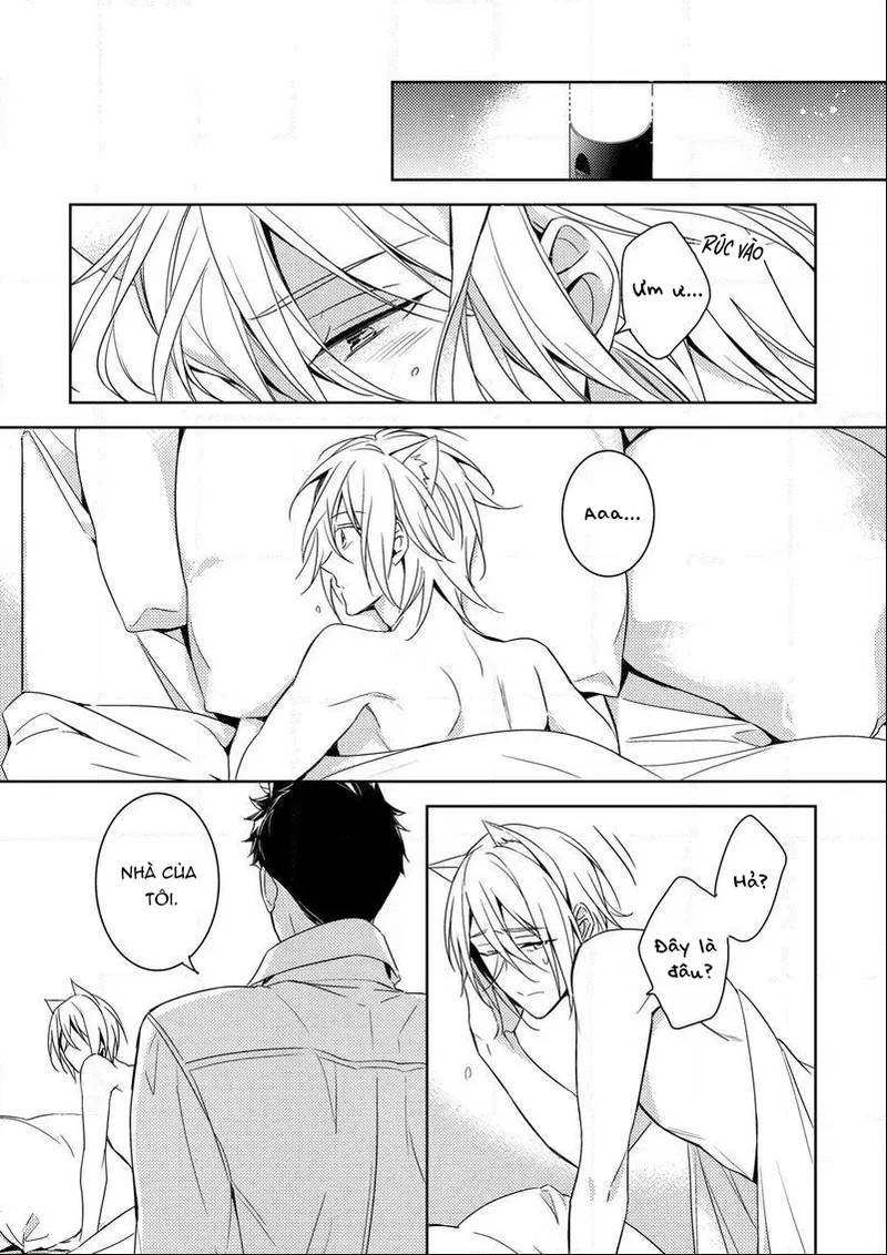 Quái Thú Arashi Chapter 3 - Next 