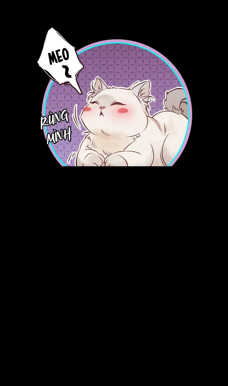 Thuốc Đắng Dã Tật Chapter 1 - Trang 2