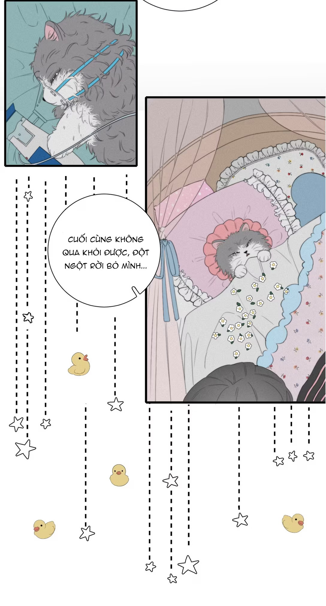 Mập Mờ Chapter 6 - Trang 2