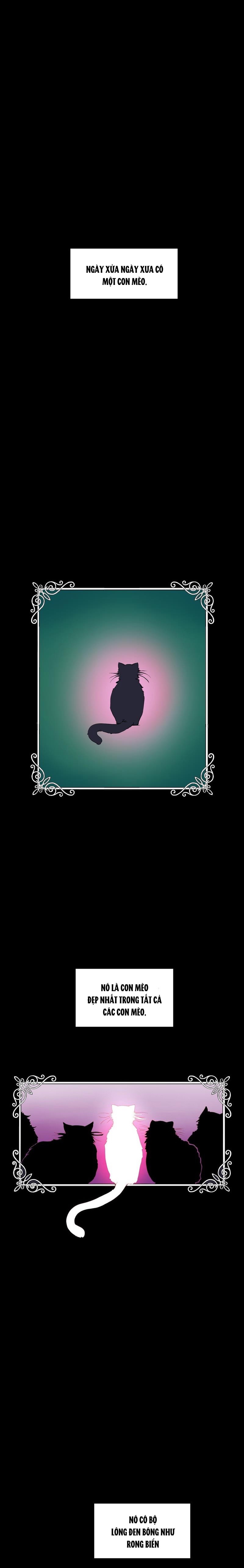 Truyện cổ tích trong lòng mèo Chapter 0 - Trang 2