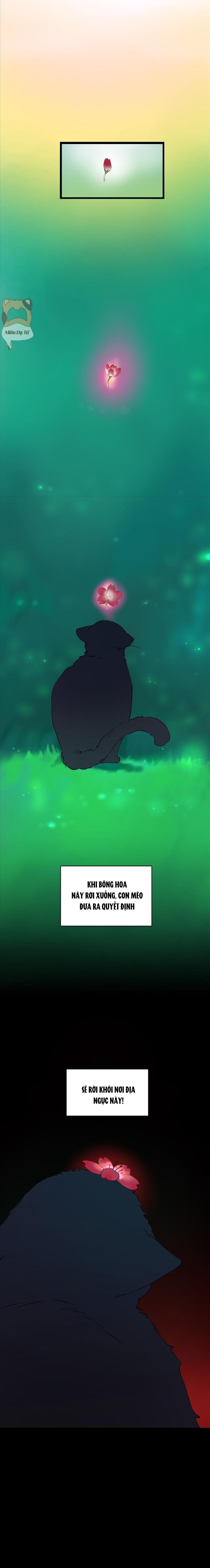 Truyện cổ tích trong lòng mèo Chapter 0 - Trang 2