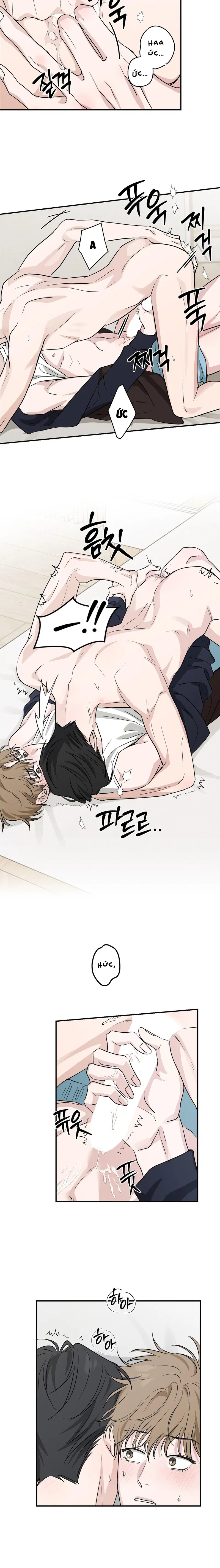 Hương Vị Chua Chát Chapter 6 H++ - Trang 2