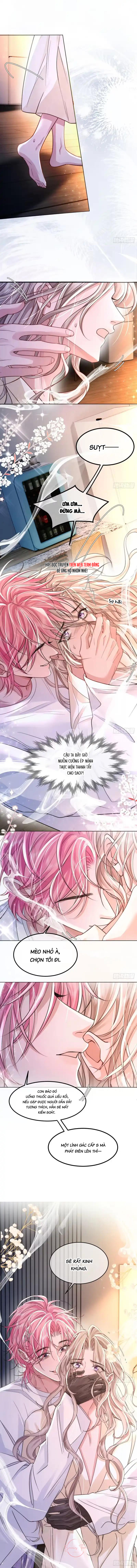 Caged Bird Chapter 11 - Trang 2